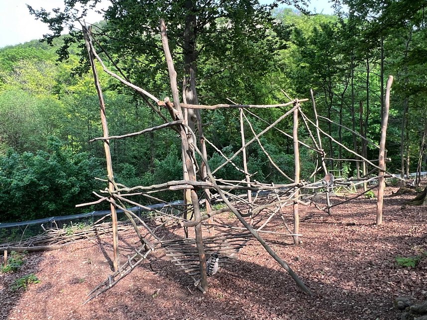 Sch&uuml;lerinnen und Sch&uuml;ler der 7. Klasse der Franzbergschule bauen ein neues Kletterger&uuml;st f&uuml;r die Kattas im Affenwald Strau&szlig;berg