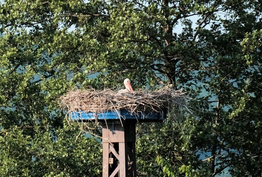 Am Stausee in Kelbra