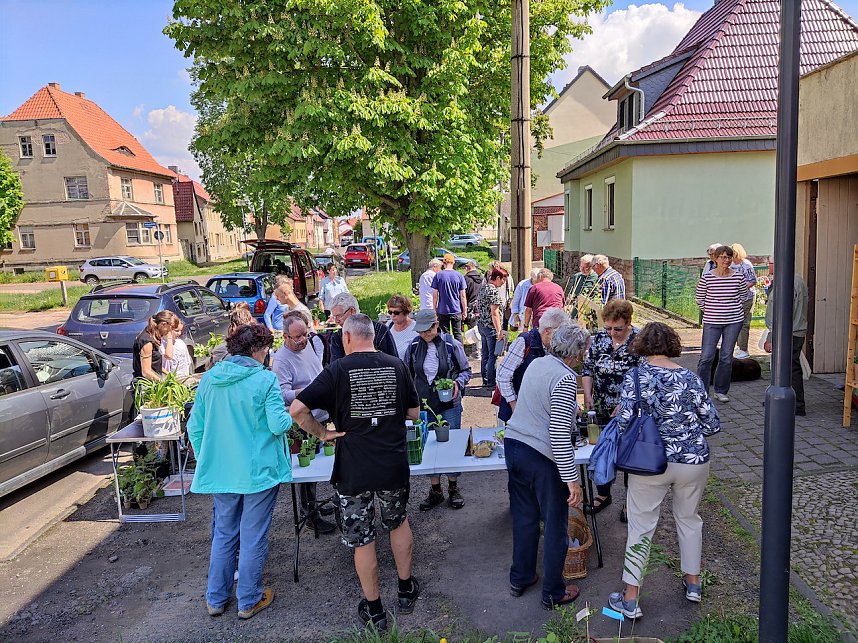 Auch die 9. Pflanzentauschb&ouml;re war erfolgreich