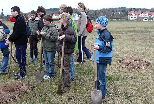 Baumpflanzung Bad Frankenhausen