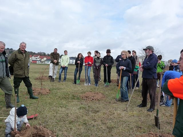 Baumpflanzung Bad Frankenhausen