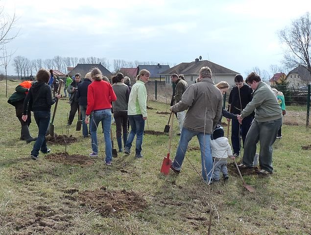 Baumpflanzung Bad Frankenhausen