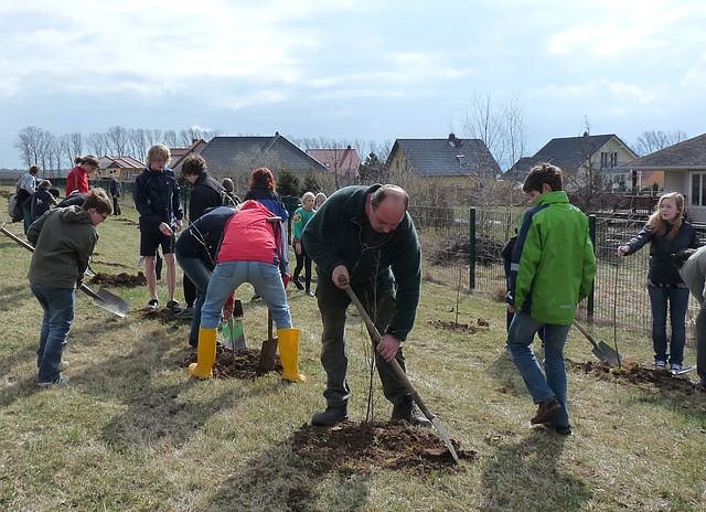 Baumpflanzung Bad Frankenhausen