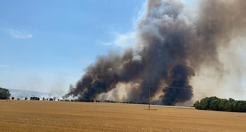 Fl&auml;chenbrand im Unstrut Hainich Kreis (Archiv)