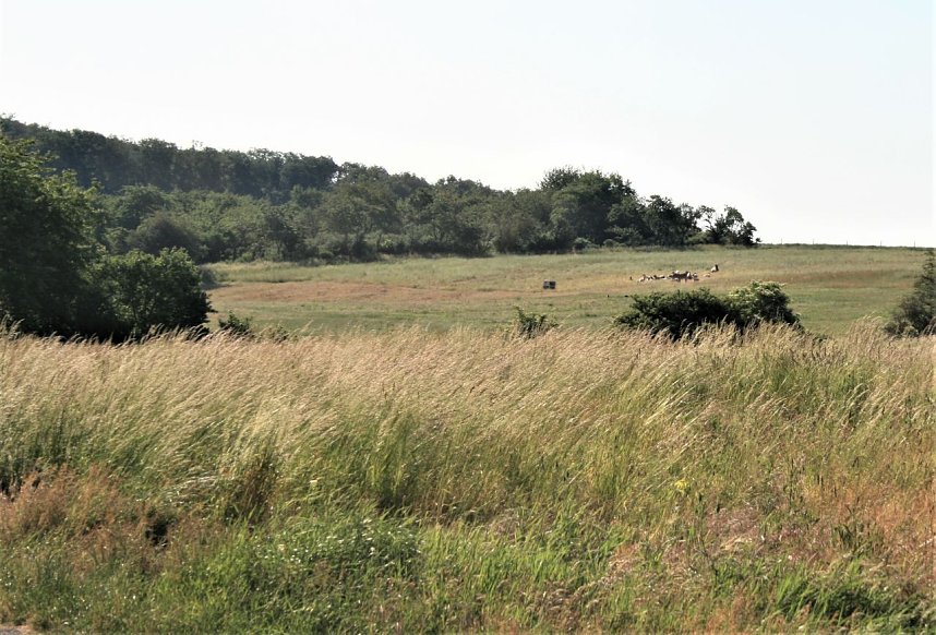 Die H&uuml;flerbaude bei Kelbra hat wieder ge&ouml;ffnet