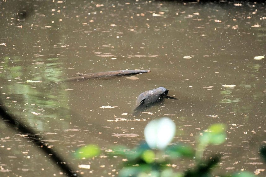 Die Wunder der Natur eingefangen von der Kamera