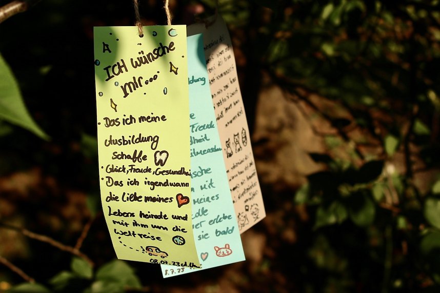 Sternenfest TANABATA im Japanischen Garten in Bad Langensalza