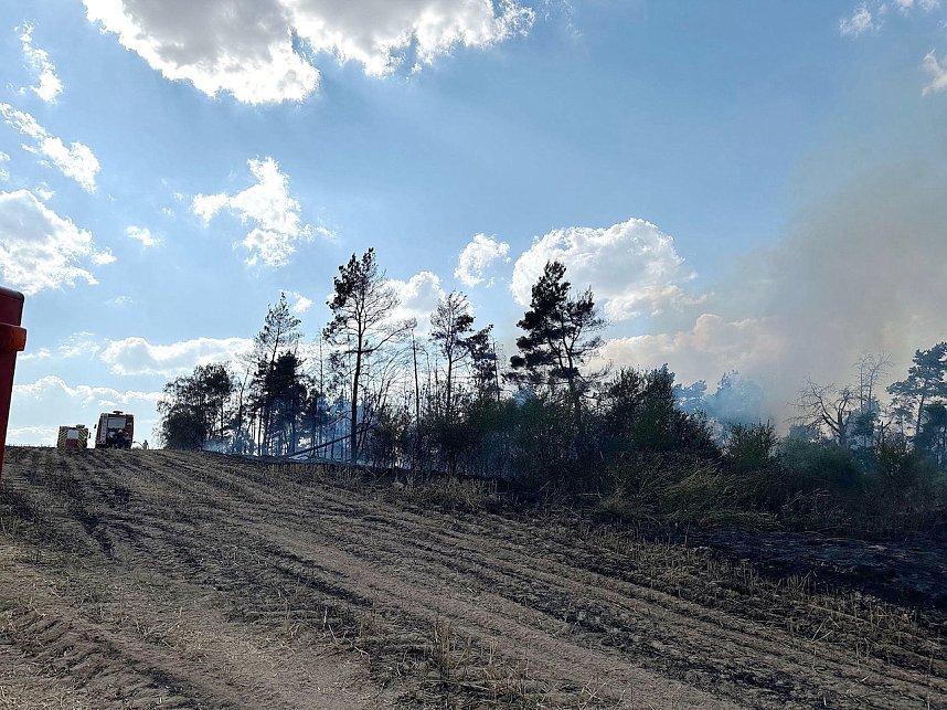 Brand eines Feldes bei Reinsdrof