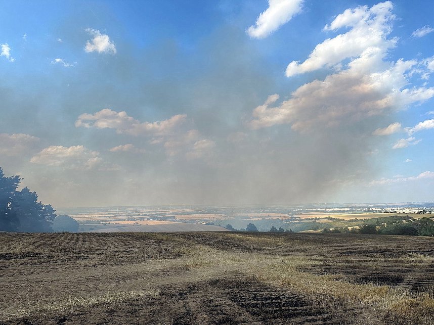 Brand eines Feldes bei Reinsdrof