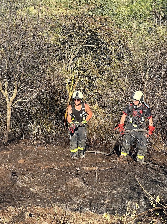Brand eines Feldes bei Reinsdrof
