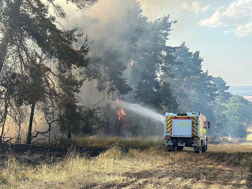 Brand eines Feldes bei Reinsdrof