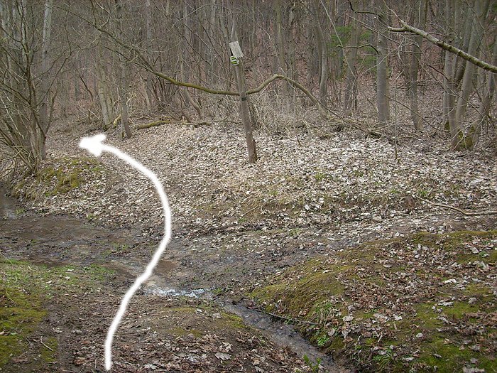 Wasser auf Wanderweg