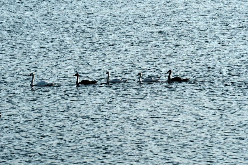 Peter Blei unterwegs im Vogelparadies