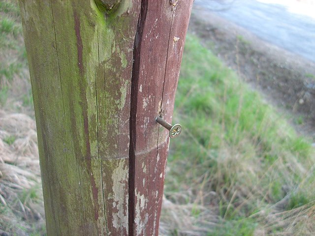 Wegweiser Totenbergwiese