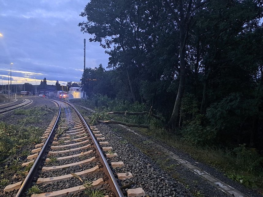 Bahn kollidiert mit &Auml;sten