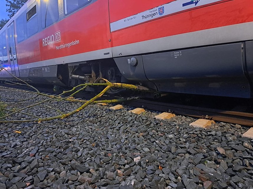 Bahn kollidiert mit &Auml;sten