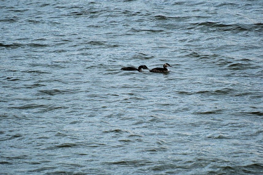 Peter Blei am neuen Aussichtsturm bei Kelbra