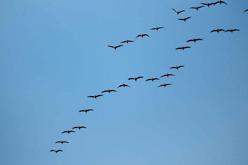 In Rothes&uuml;tte und am Stausee Kelbra