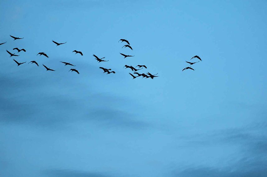 In Rothes&uuml;tte und am Stausee Kelbra