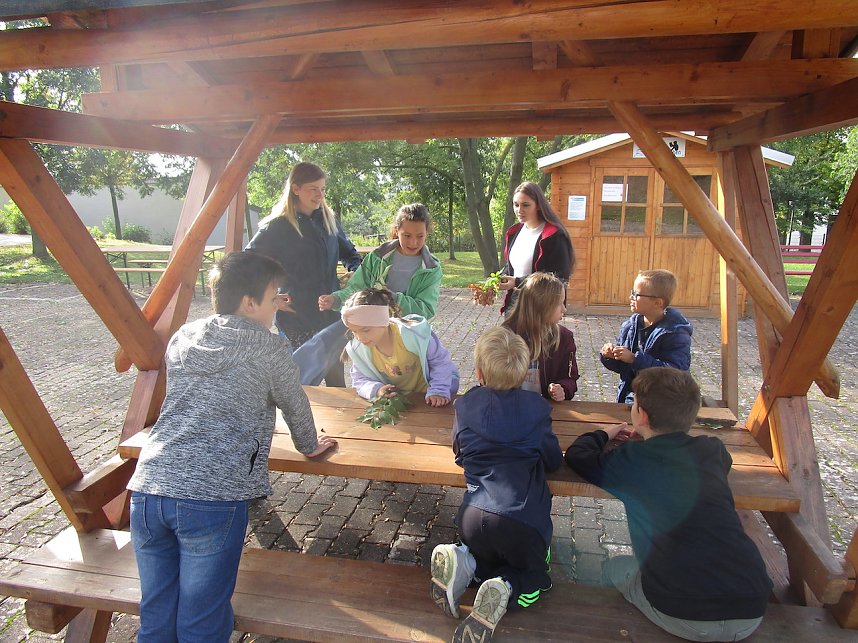 Ferienarbeit in Artern