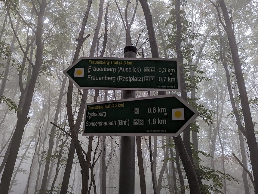 Der Frauenberg-Trai (Sondershausen) ist ein Familienerlebniswanderweg mit sieben verschiedene Erlebnisstationen