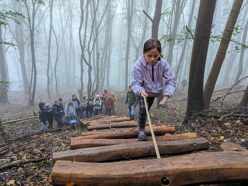 Der Frauenberg-Trai (Sondershausen) ist ein Familienerlebniswanderweg mit sieben verschiedene Erlebnisstationen