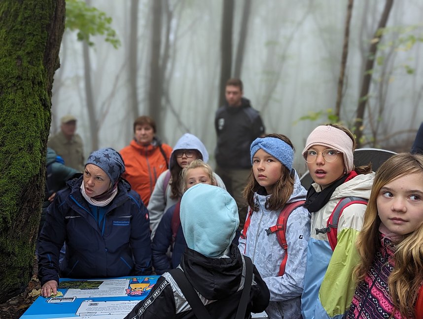 Der Frauenberg-Trai (Sondershausen) ist ein Familienerlebniswanderweg mit sieben verschiedene Erlebnisstationen