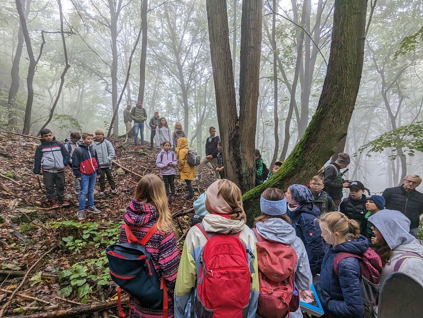 Der Frauenberg-Trai (Sondershausen) ist ein Familienerlebniswanderweg mit sieben verschiedene Erlebnisstationen