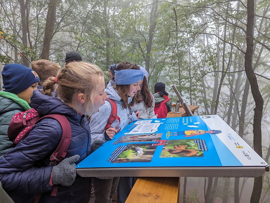 Der Frauenberg-Trai (Sondershausen) ist ein Familienerlebniswanderweg mit sieben verschiedene Erlebnisstationen