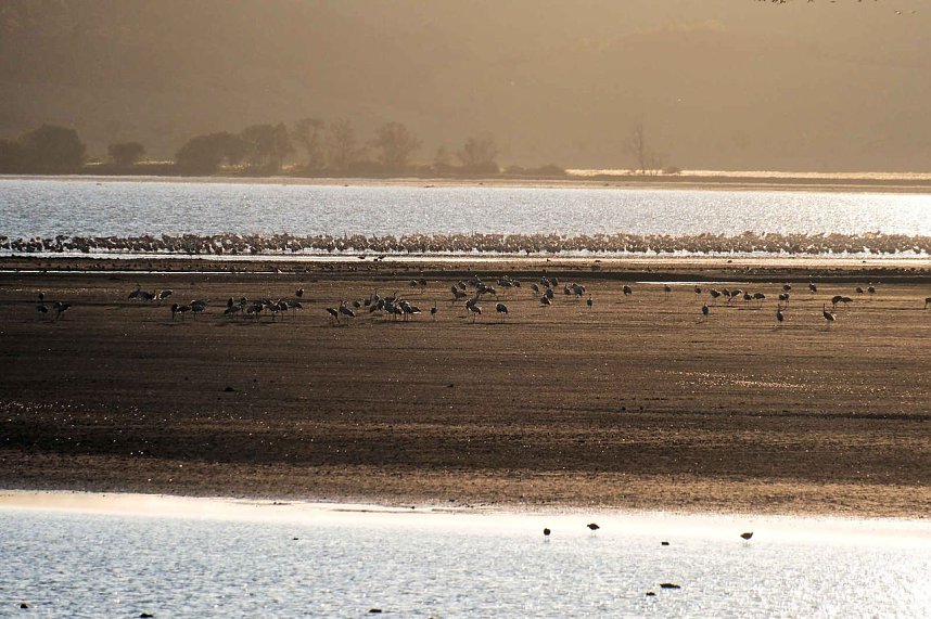 Neuer Aussichtsturm am Stausee Kelbra