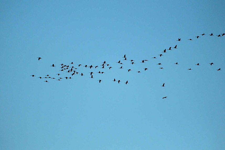 Neuer Aussichtsturm am Stausee Kelbra