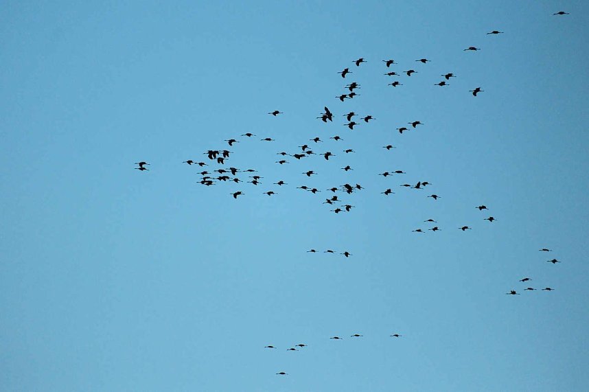 Neuer Aussichtsturm am Stausee Kelbra