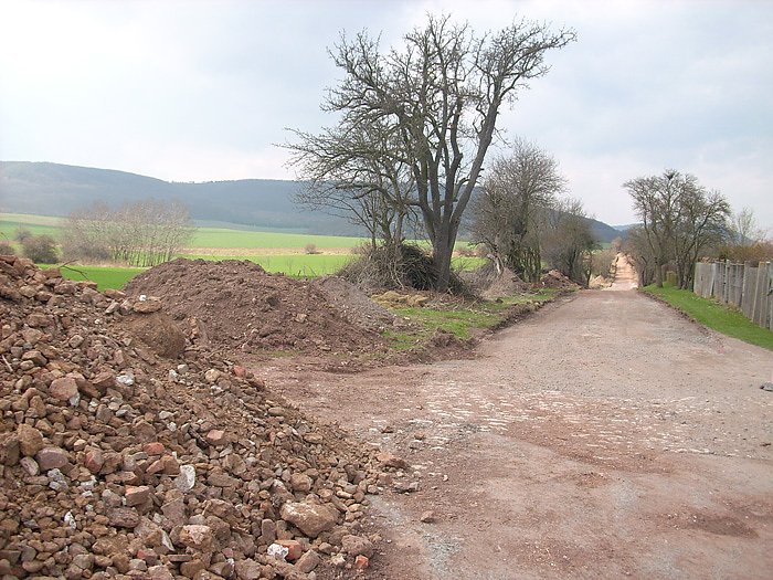 Bau der Zwetschgenallee
