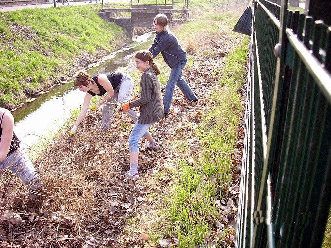 Archivbilder Fr&uuml;hjahrsputz