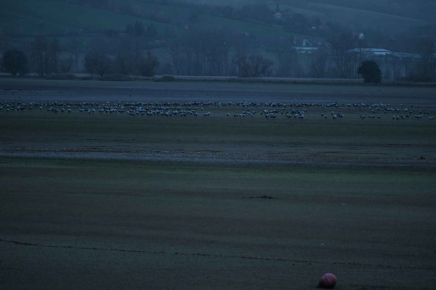 Peter Blei unterwegs am Stausee Kelbra