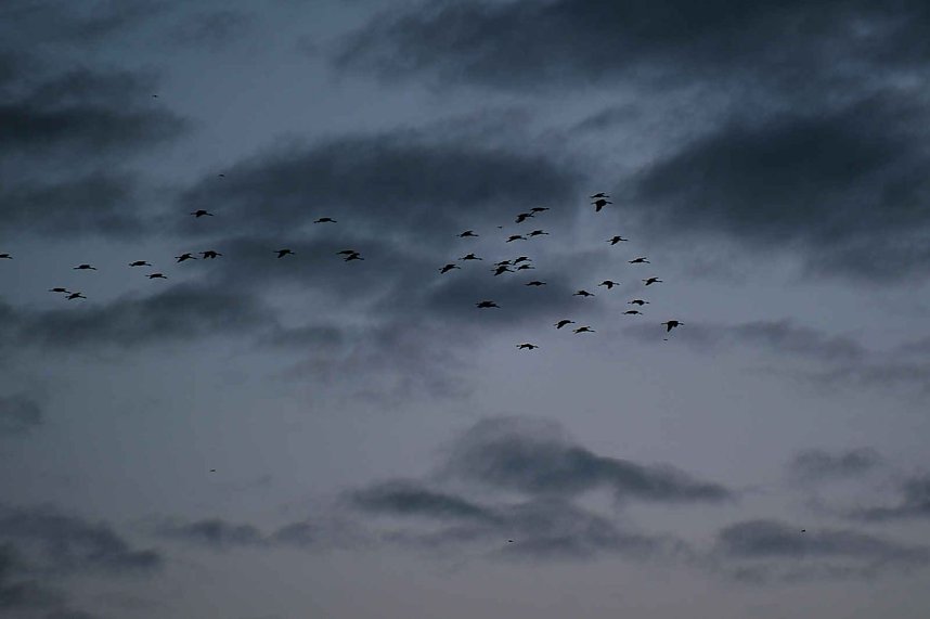 Peter Blei unterwegs am Stausee Kelbra