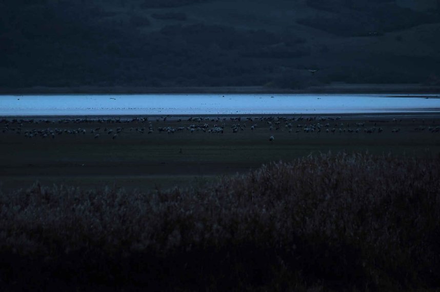 Peter Blei unterwegs am Stausee Kelbra