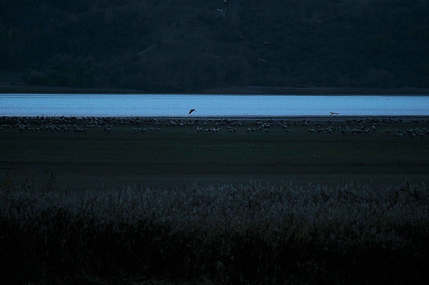 Peter Blei unterwegs am Stausee Kelbra