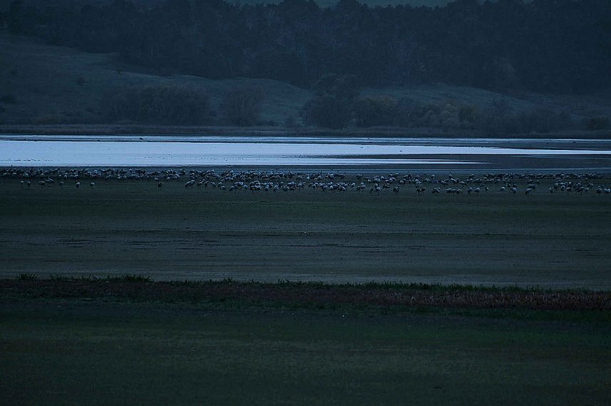 Peter Blei unterwegs am Stausee Kelbra