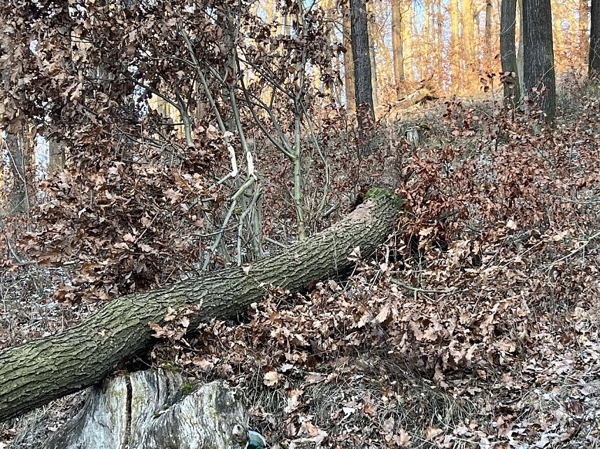 Tragischer Unfall in Sondershausen