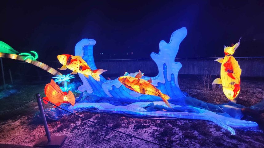 Peter Blei unterwegs in magischen Lichterwelten