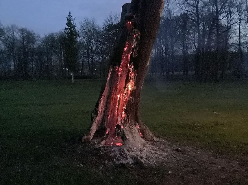 Erneuter Brand im Schlosspark Sondershausen