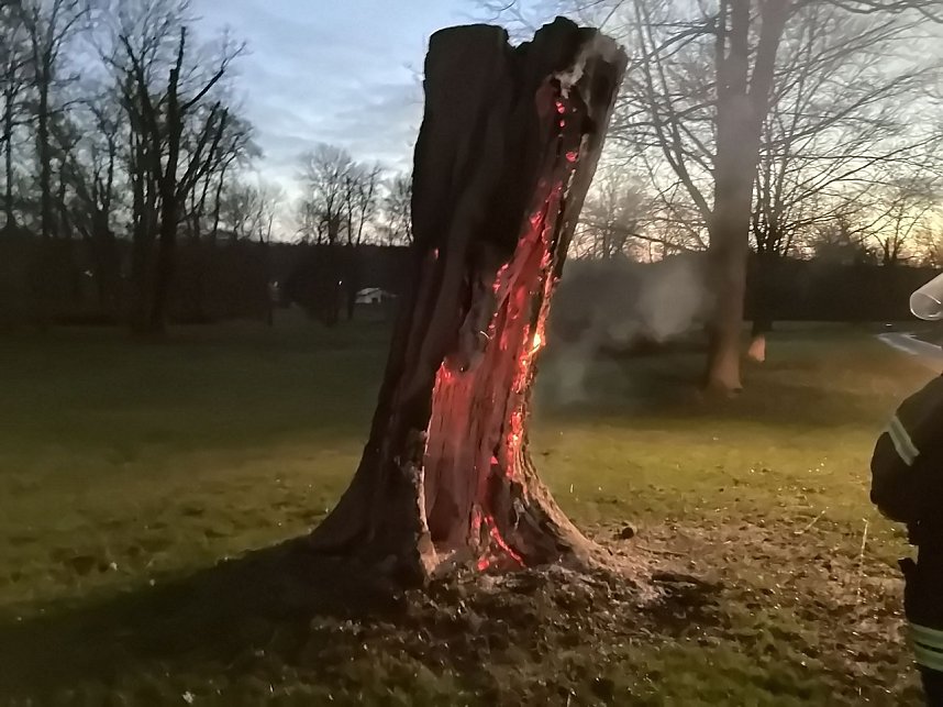 Erneuter Brand im Schlosspark Sondershausen