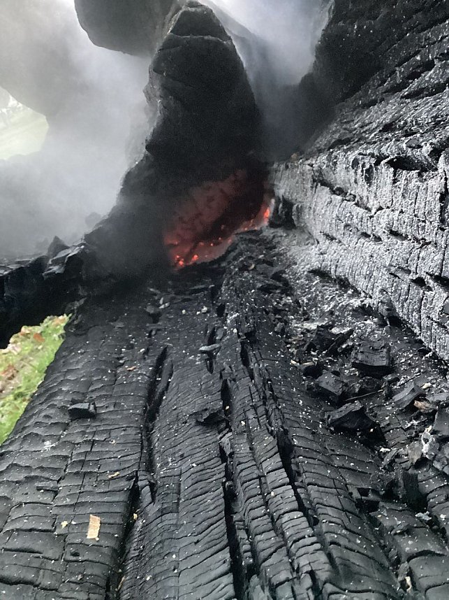 Erneuter Brand im Schlosspark Sondershausen