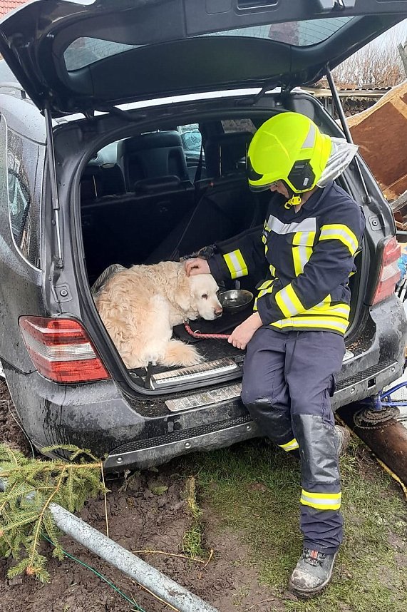 Feuerwehrmann k&uuml;mmert sich um den Hund des verunfallten Fahrers