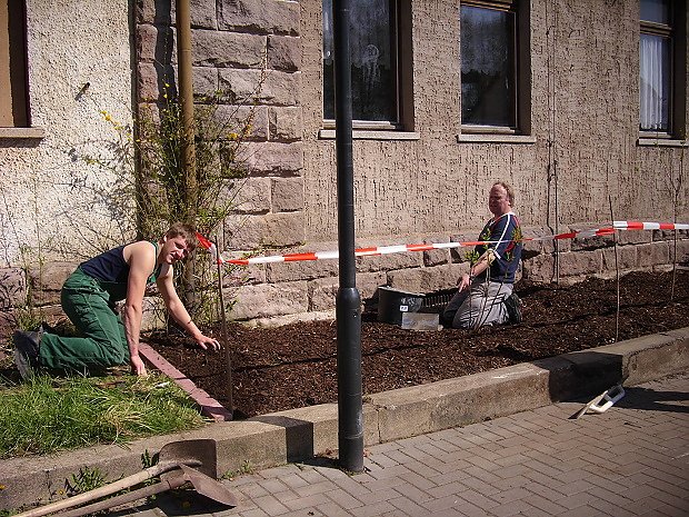 Fr&uuml;hjahrsputz Bad Frankenhausen