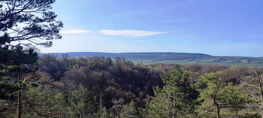 Viele flei&szlig;ige H&auml;nde halfen beim Fr&uuml;hjahrsputz an der Hornungsh&ouml;he