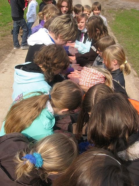 P&auml;dagogisches Programm