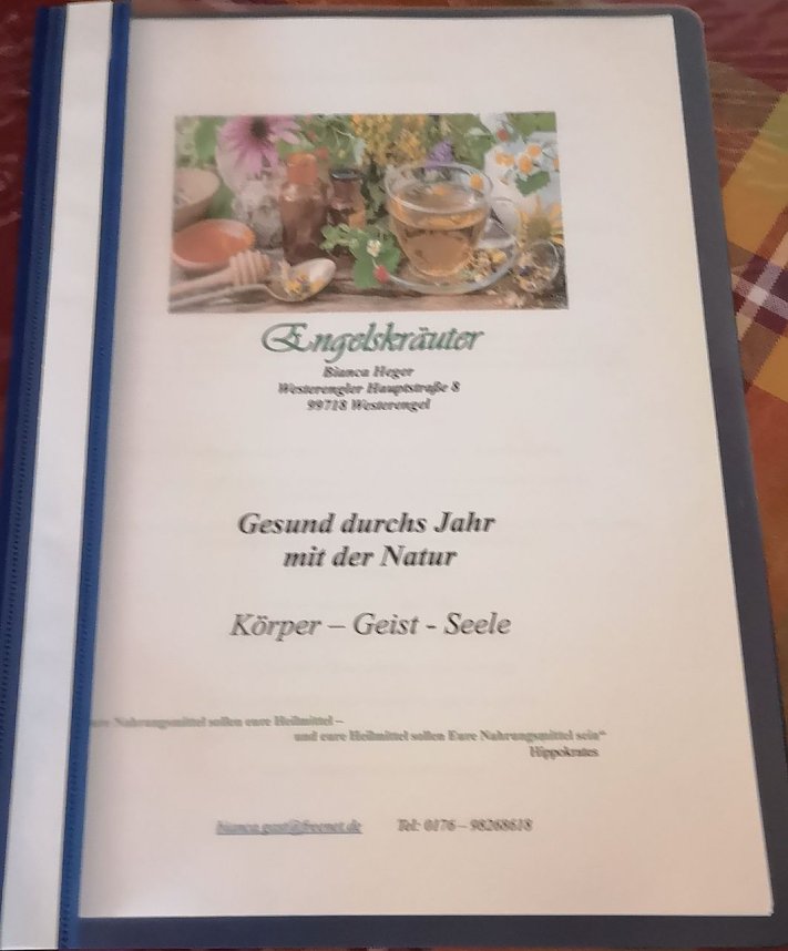 Wildkr&auml;uterseminar mit Bianca Heger bei der WB 4 der VS in Sondershausen 