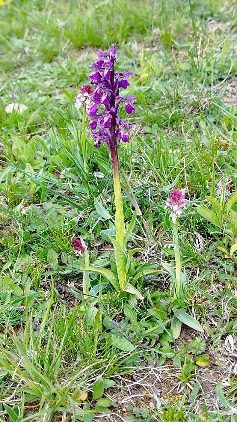 Sch&ouml;nheiten der Natur